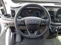 Ford Transit 350 L2H3 Lkw VA Trend 125 kW, 4-türig (Die Blanc - thumbnail 11