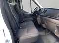 Ford Transit 350 L2H3 Lkw VA Trend 125 kW, 4-türig (Die Blanc - thumbnail 21
