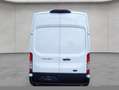 Ford Transit 350 L2H3 Lkw VA Trend 125 kW, 4-türig (Die Blanc - thumbnail 4