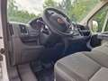 Fiat Ducato Hochr.-Kasten 35 160 L2H2 RS: 3450 mm Blanc - thumbnail 19