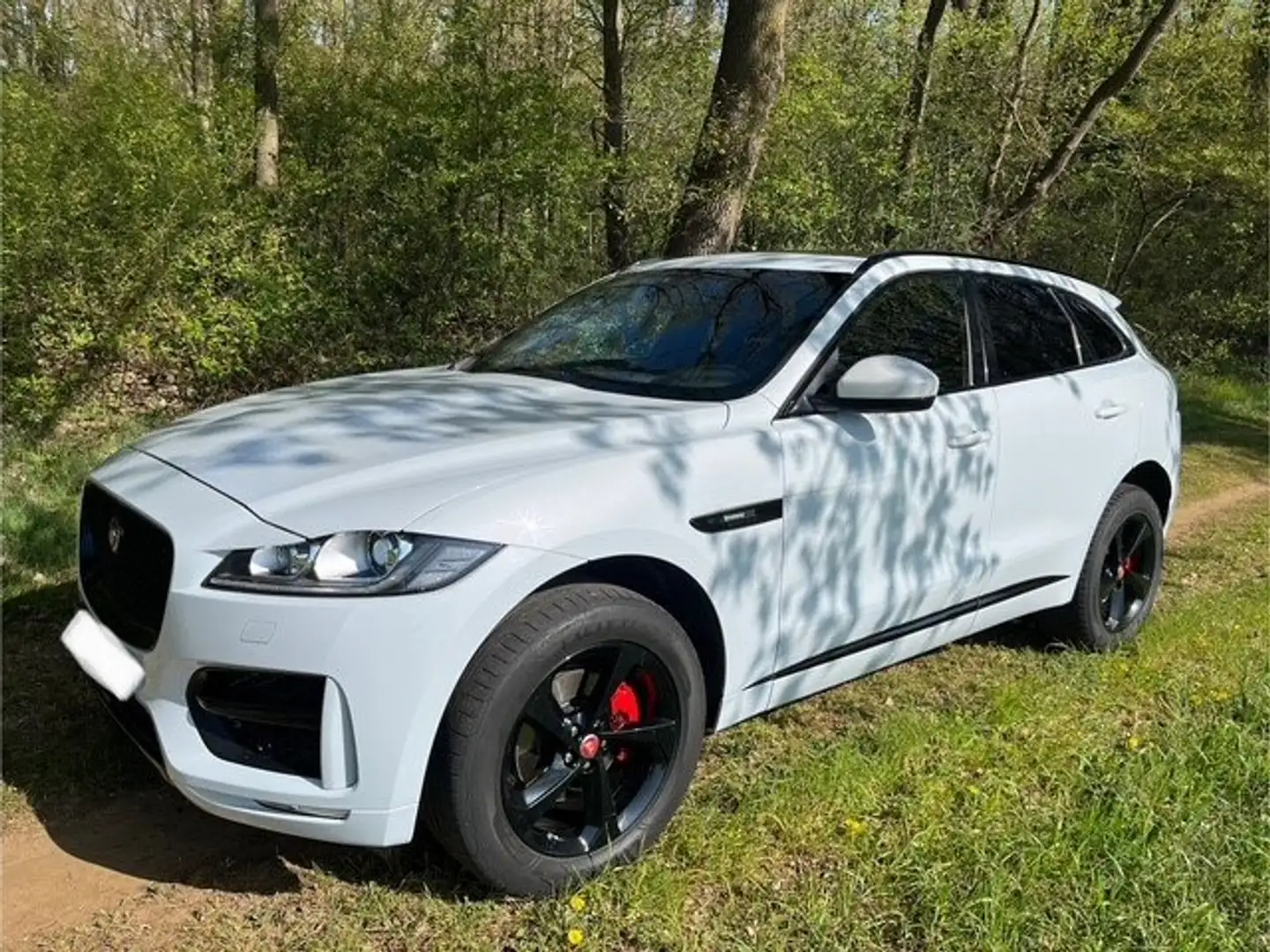 Jaguar F-Pace F-Pace 25t AWD R-Sport Blanc - 1