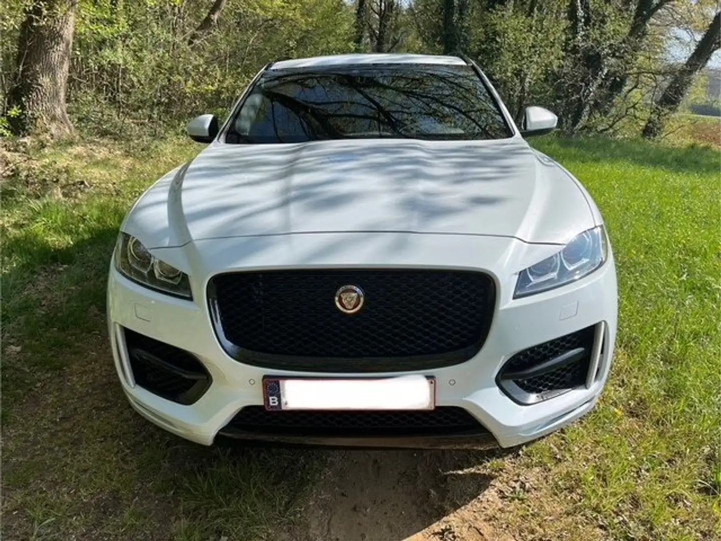 Jaguar F-Pace F-Pace 25t AWD R-Sport Blanc - 2