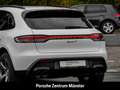Porsche Macan T 20-Zoll Rückfahrkamera Panoramadach LED Blanc - thumbnail 23
