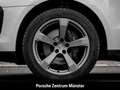 Porsche Macan T 20-Zoll Rückfahrkamera Panoramadach LED Weiß - thumbnail 24
