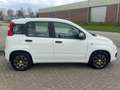 Fiat Panda 0.9 TwinAir Young! NL AUTO NAP! Airco l Trekhaak l Wit - thumbnail 28