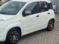Fiat Panda 0.9 TwinAir Young! NL AUTO NAP! Airco l Trekhaak l Wit - thumbnail 30