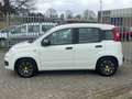 Fiat Panda 0.9 TwinAir Young! NL AUTO NAP! Airco l Trekhaak l Wit - thumbnail 10