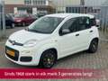 Fiat Panda 0.9 TwinAir Young! NL AUTO NAP! Airco l Trekhaak l Wit - thumbnail 1