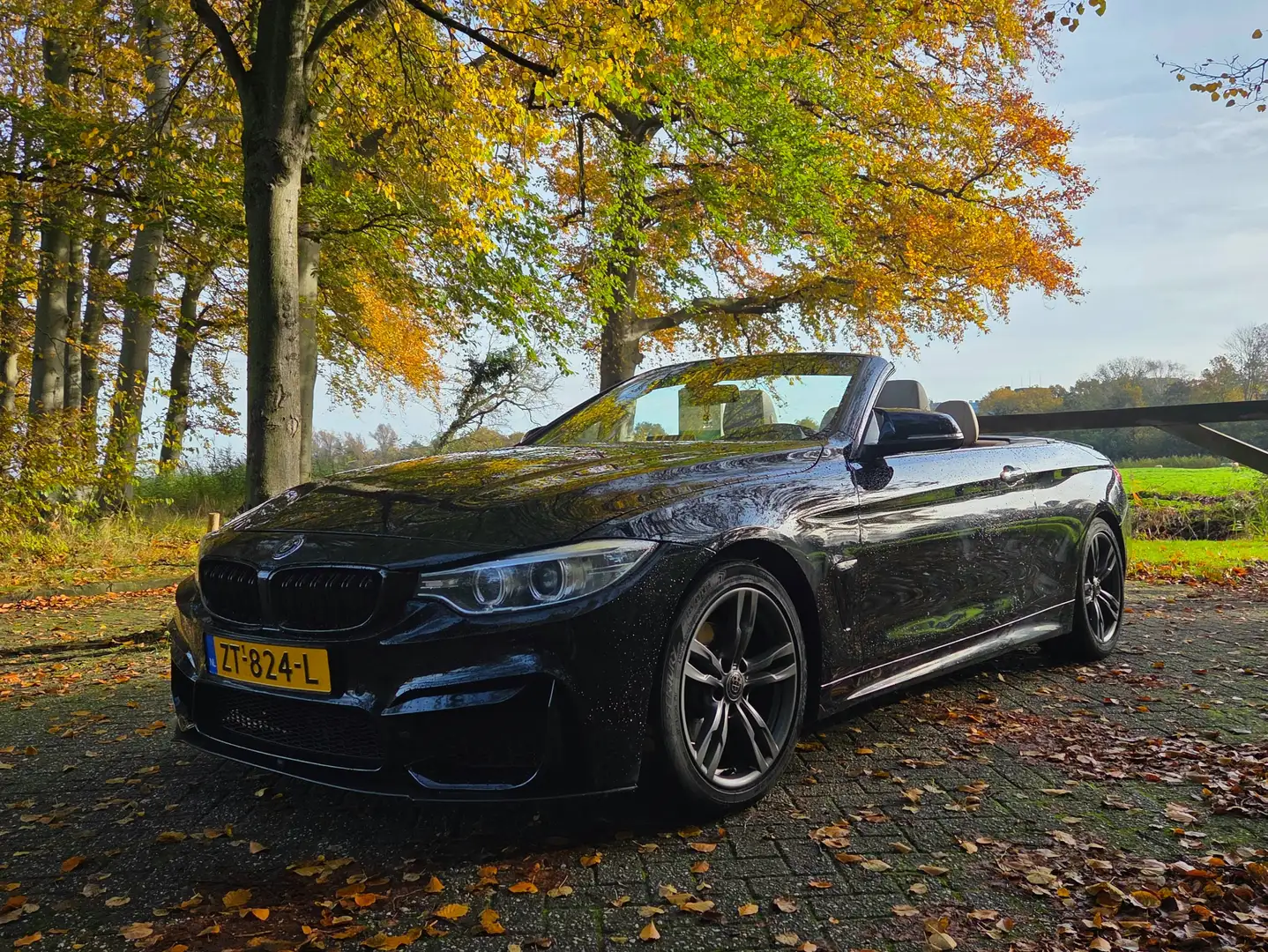 BMW 420 2.0 Diesel Cabrio Zwart - 1