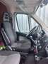 Fiat Ducato Ducato 33 L2H2 150 Panorama Panorama Weiß - thumbnail 6