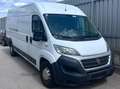 Fiat Ducato Ducato 33 L2H2 150 Panorama Panorama Weiß - thumbnail 1