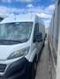 Fiat Ducato Ducato 33 L2H2 150 Panorama Panorama Weiß - thumbnail 3