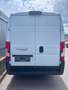 Fiat Ducato Ducato 33 L2H2 150 Panorama Panorama Weiß - thumbnail 4