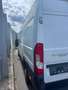 Fiat Ducato Ducato 33 L2H2 150 Panorama Panorama Weiß - thumbnail 5