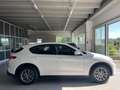 Alfa Romeo Stelvio Stelvio 2020 2.2 t Executive Q4 190cv auto Bianco - thumbnail 5
