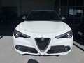 Alfa Romeo Stelvio Stelvio 2020 2.2 t Executive Q4 190cv auto Bianco - thumbnail 3