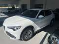 Alfa Romeo Stelvio Stelvio 2020 2.2 t Executive Q4 190cv auto Bianco - thumbnail 1