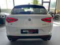 Alfa Romeo Stelvio Stelvio 2020 2.2 t Executive Q4 190cv auto Bianco - thumbnail 8