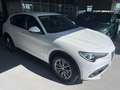 Alfa Romeo Stelvio Stelvio 2020 2.2 t Executive Q4 190cv auto Bianco - thumbnail 4