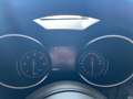 Alfa Romeo Stelvio Stelvio 2020 2.2 t Executive Q4 190cv auto Bianco - thumbnail 14