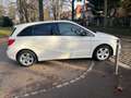 Mercedes-Benz B 200 B 200 CDI Automatik/Navi/Bi Xenon/PDC/1Hand Weiß - thumbnail 6