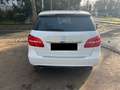Mercedes-Benz B 200 B 200 CDI Automatik/Navi/Bi Xenon/PDC/1Hand Weiß - thumbnail 4