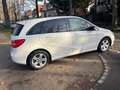 Mercedes-Benz B 200 B 200 CDI Automatik/Navi/Bi Xenon/PDC/1Hand Weiß - thumbnail 5