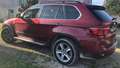 BMW X5 X5 xDrive 35iA Burdeos - thumbnail 2