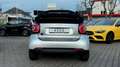 smart forTwo Cabrio EQ 60kW! 22kW-BOARDLADER! CARBON! R-CAM! Silber - thumbnail 38