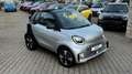 smart forTwo Cabrio EQ 60kW! 22kW-BOARDLADER! CARBON! R-CAM! Silber - thumbnail 14