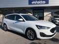 Ford Focus Focus V SW 1.5 ecoblue Busin. 120cv co-pilot auto Bianco - thumbnail 2
