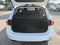 Ford Focus Focus V SW 1.5 ecoblue Busin. 120cv co-pilot auto Bianco - thumbnail 13