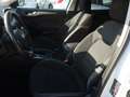 Ford Focus Focus V SW 1.5 ecoblue Busin. 120cv co-pilot auto Bianco - thumbnail 5