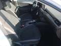 Ford Focus Focus V SW 1.5 ecoblue Busin. 120cv co-pilot auto Bianco - thumbnail 7