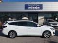 Ford Focus Focus V SW 1.5 ecoblue Busin. 120cv co-pilot auto Bianco - thumbnail 15