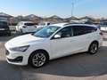 Ford Focus Focus V SW 1.5 ecoblue Busin. 120cv co-pilot auto Bianco - thumbnail 14