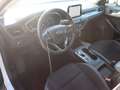 Ford Focus Focus V SW 1.5 ecoblue Busin. 120cv co-pilot auto Bianco - thumbnail 3