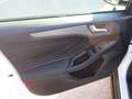 Ford Focus Focus V SW 1.5 ecoblue Busin. 120cv co-pilot auto Bianco - thumbnail 4