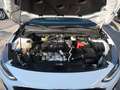 Ford Focus Focus V SW 1.5 ecoblue Busin. 120cv co-pilot auto Bianco - thumbnail 10