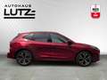 Ford Kuga ST-Line PHEV HUD Panodach Navi City Stop ACC LED P Rouge - thumbnail 4
