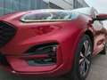 Ford Kuga ST-Line PHEV HUD Panodach Navi City Stop ACC LED P Rouge - thumbnail 5
