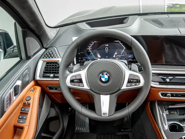 BMW X7 view 9