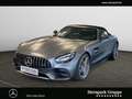 Mercedes-Benz AMG GT Mercedes-AMG GT Road Distr*KeramikBre*Kam*Memory Gris - thumbnail 1