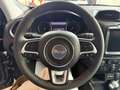 Jeep Renegade Renegade 1.6 Mjt 130 CV Limited Grau - thumbnail 8