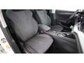 Skoda Octavia Combi 2.0 TDI First Edition Aut LED RADAR Weiß - thumbnail 14