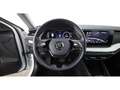 Skoda Octavia Combi 2.0 TDI First Edition Aut LED RADAR Weiß - thumbnail 23