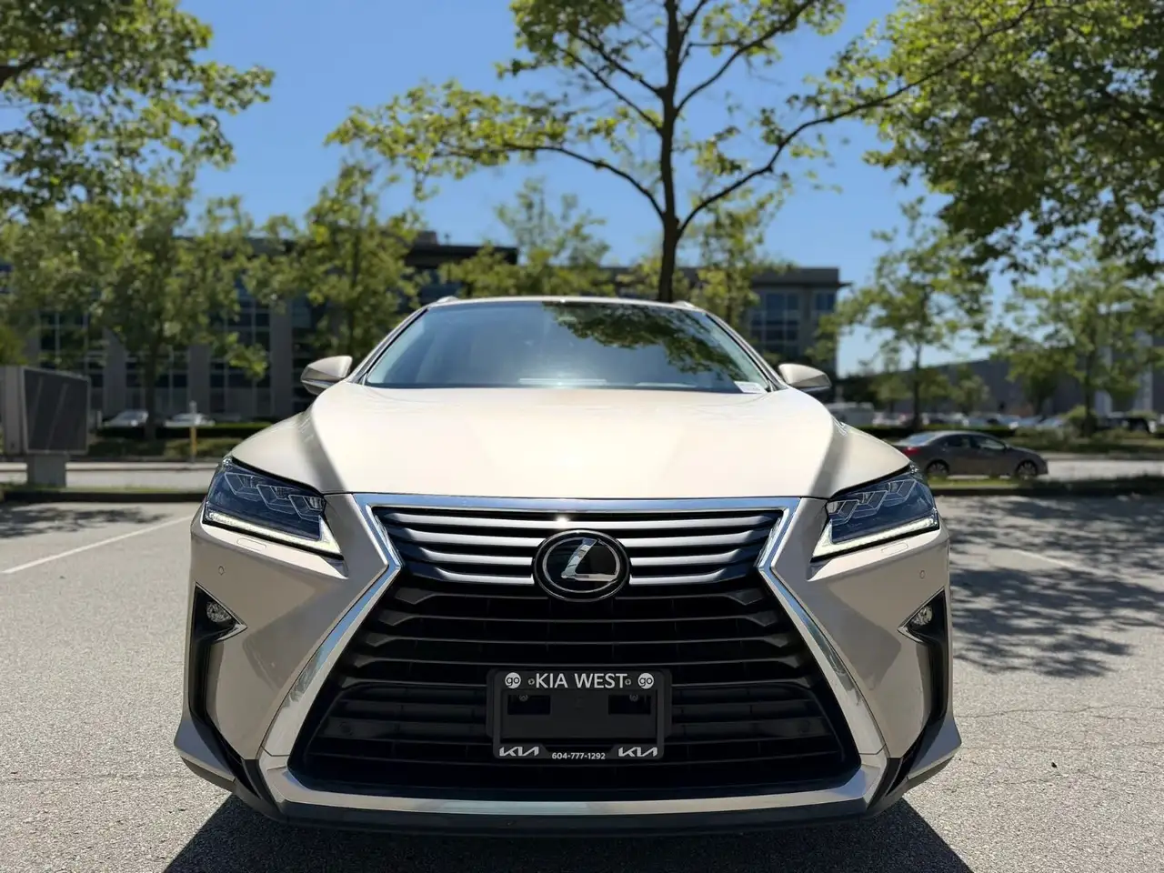 Lexus RX fotografie Lexus RX