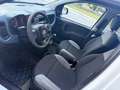 Fiat Panda Panda 0.9 t.air t. natural power Easy Blanc - thumbnail 7