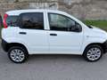 Fiat Panda Panda 0.9 t.air t. natural power Easy Blanc - thumbnail 9