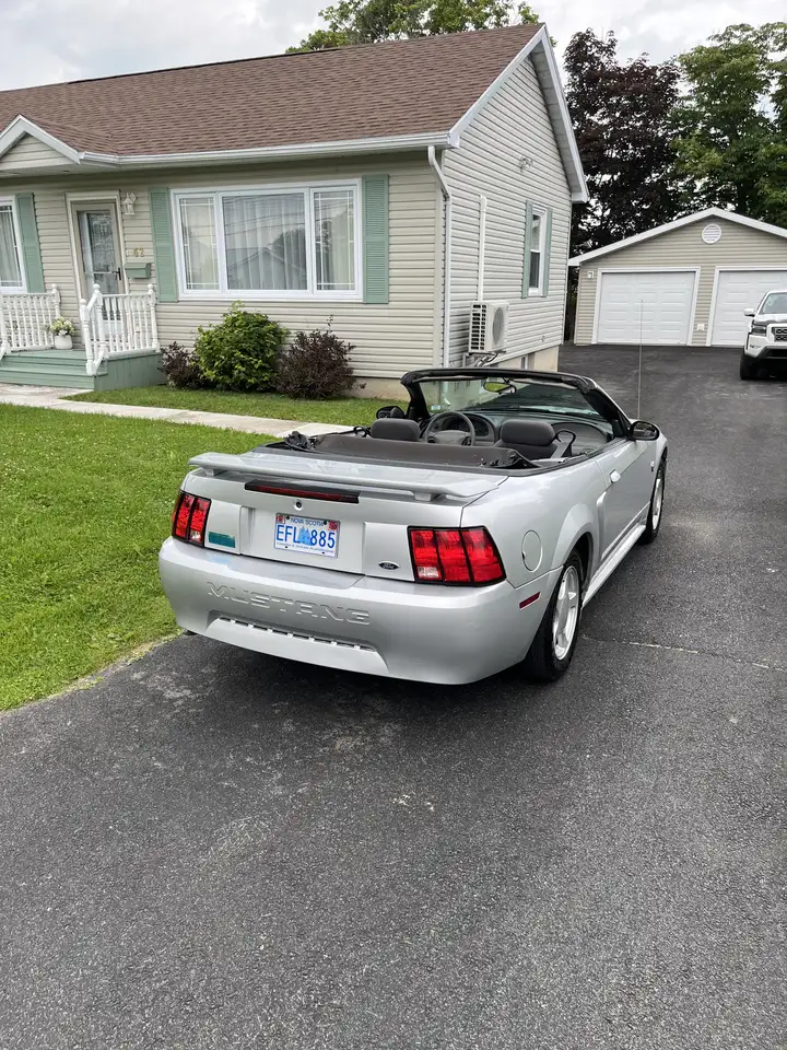  Mustang